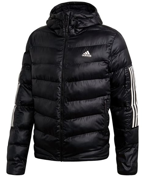 adidas men's puffers